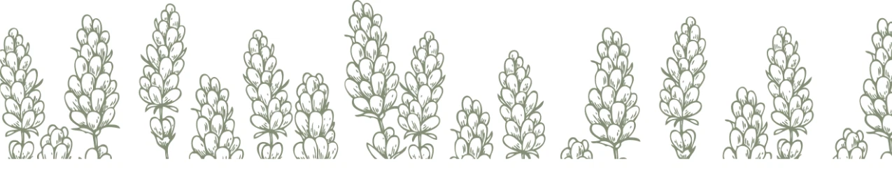 Botanical flax illustration